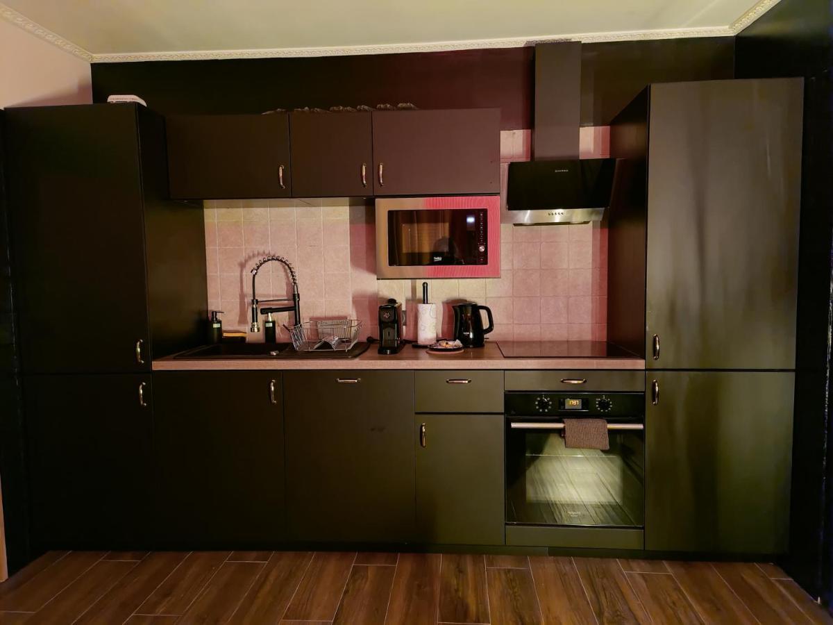 La Loveroom Bdsm De Nice " La Chambre Luxe Des Desirs " Bagian luar foto